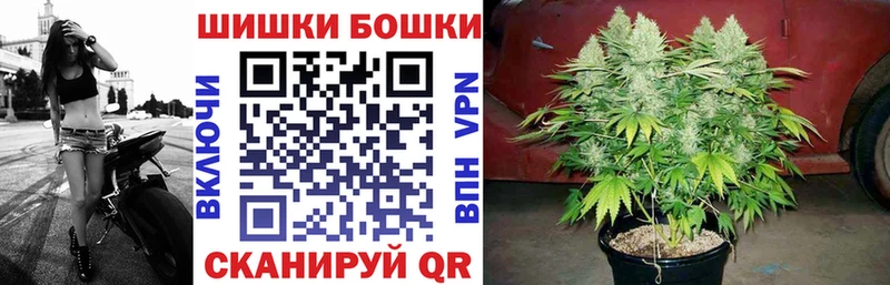 Бошки марихуана OG Kush Калининск